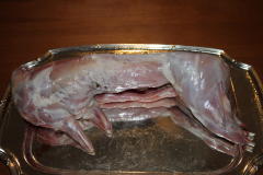 Fryer Rabbit